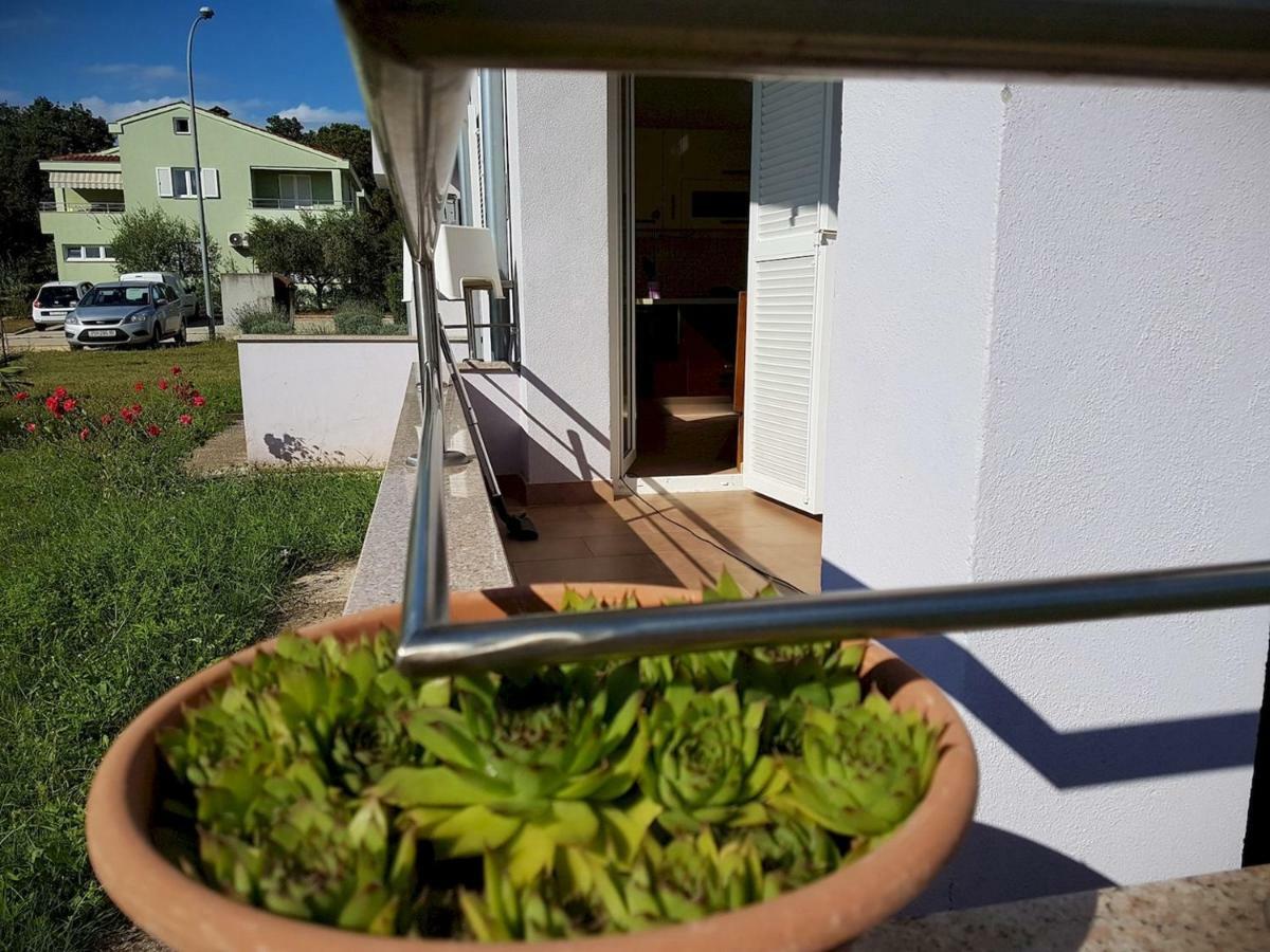 Apartment Vitalia 2+2 Poreč Exteriér fotografie
